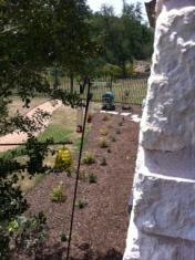 2011-05-24-Janeen's TBI-39.jpg